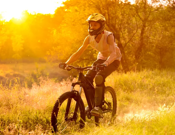 Ciclista montando la bicicleta en el sendero en el bosque de verano al amanecer —  Fotos de Stock