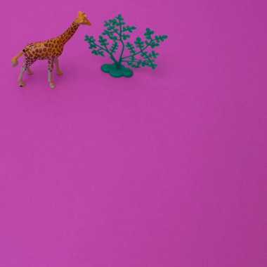 Fotokopi alanı olan pembe arka planda bir ağacın yanındaki zürafa. Minimalist sahne.