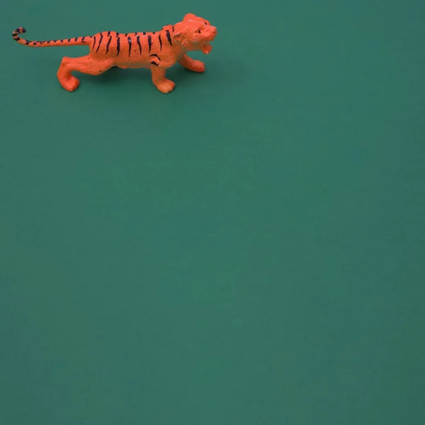 Simbolo Tigre Anno Nuovo Cinese Uno Sfondo Verde Scena Estetica — Foto Stock
