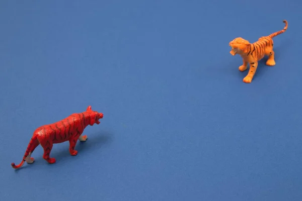 Doi Tigri Confruntă Unul Celălalt Fundal Albastru Scena Minimă Animalelor — Fotografie, imagine de stoc