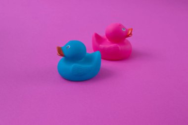 İki ördek yan yana pembe ve mavidir. Mor bir arka planda, zıt yönlerde sakopi boşluğunda. Minimum düz sahne.