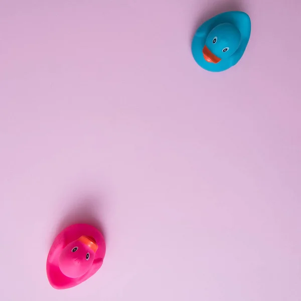 Pembe arka planda fotokopi alanı olan iki ördek karşı karşıya. Minimum düz sahne.