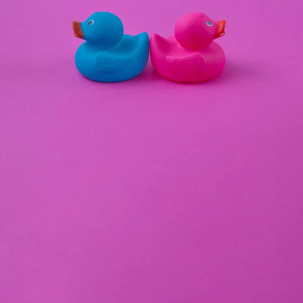Two ducks with pink and blue backs facing each other with copy space on a purple background. Minimal flat lay scene.