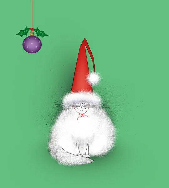 Gatto Arrabbiato Indossa un Cappello gigante di Babbo Natale — Foto Stock