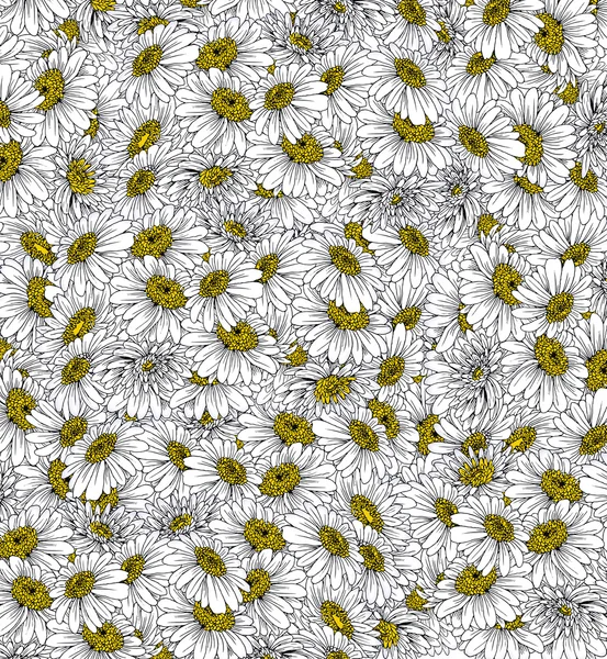 Daisies Background Ink Drawing — Stock Photo, Image