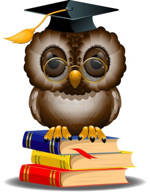 bir kitap yığını üzerinde Bilge Baykuş