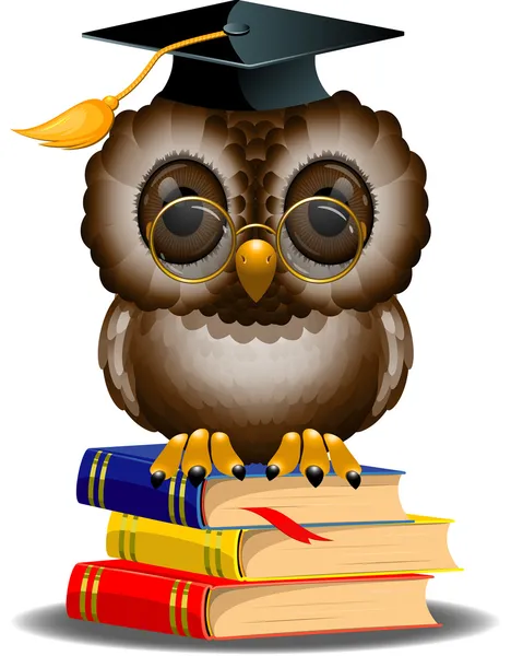 Wise owl on a stack of books — Stock Vector