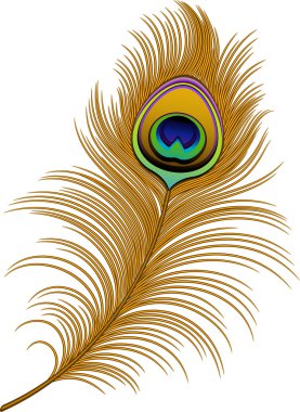 Download Peacock Feather Free Vector Eps Cdr Ai Svg Vector Illustration Graphic Art