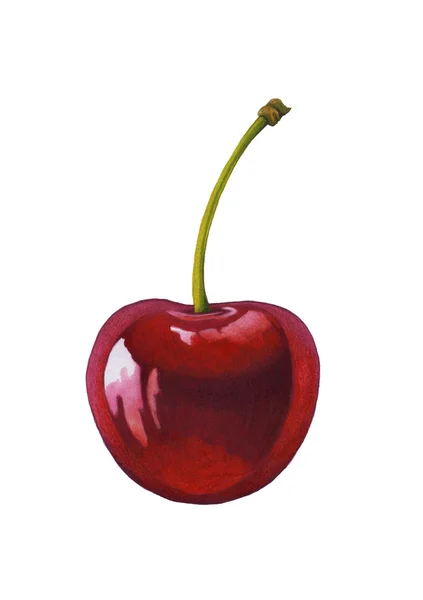 Watercolor cherry — Stock Photo, Image