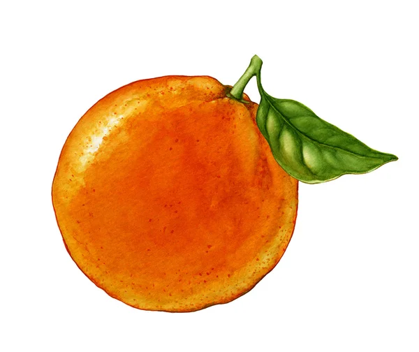 Laranja — Fotografia de Stock