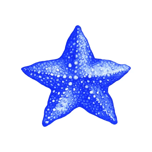 Starfish — Stock Photo, Image