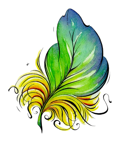 Feather. Watercolor illustration — Stock Photo, Image