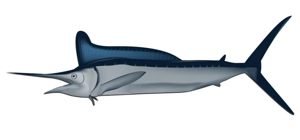 Marlin Fisch Vektor Illustration — Stockvektor