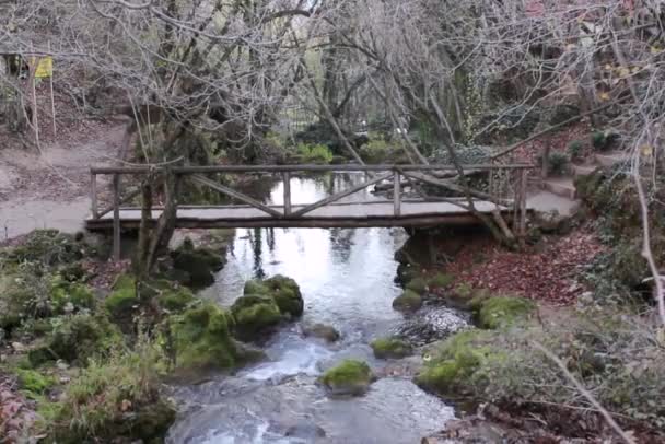 Kleine Holzbrücke über einen Bach, Veliki buk, Serbien — Stockvideo