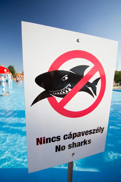 没有鲨鱼 — 图库照片
