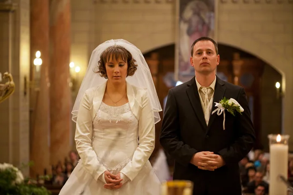 Wedding couple — Stock Photo, Image