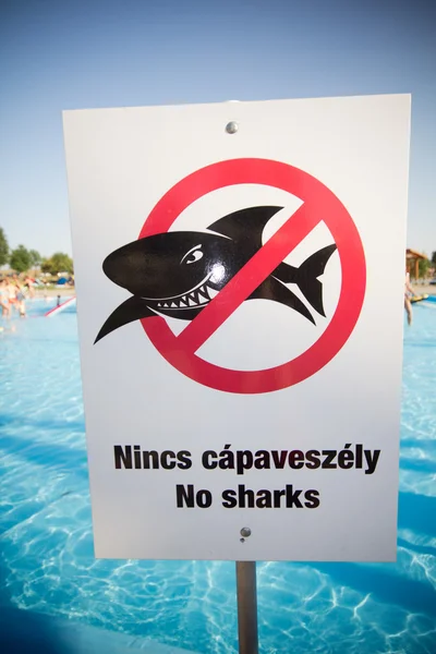 没有鲨鱼 — 图库照片