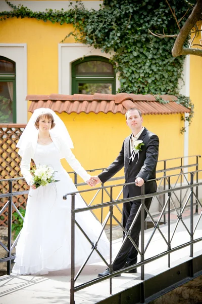 Pareja de boda —  Fotos de Stock