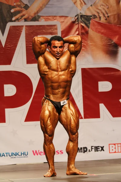 Bodybuilder — Photo