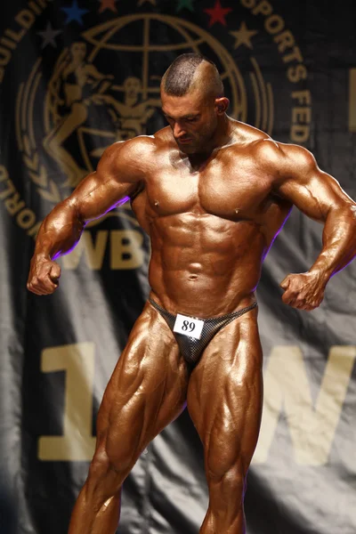 Bodybuilder — Photo