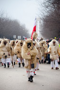 mohacsi busojaras karnavalı
