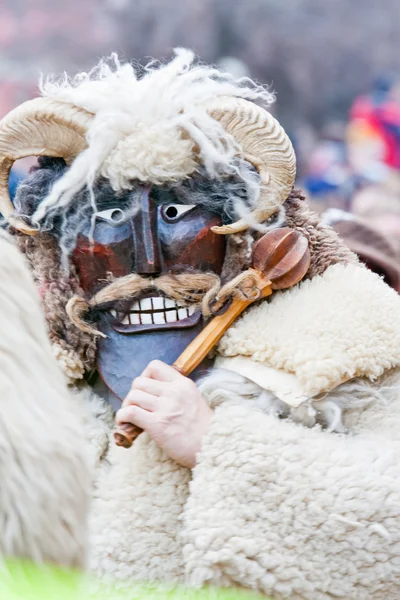 莫哈西布索加拉斯狂欢节 — 图库照片