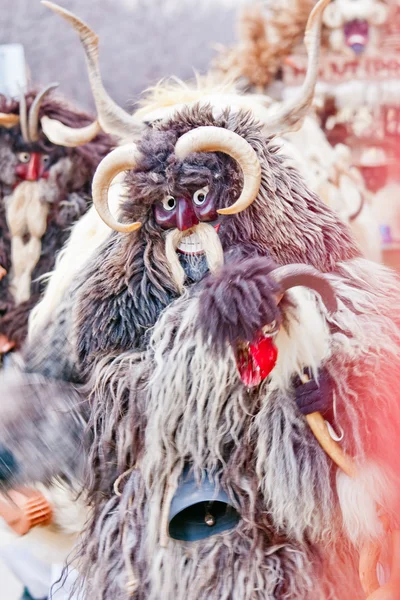 Carnaval de mohacsi busojaras — Fotografia de Stock