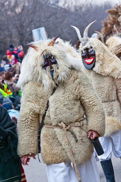 Mohacsi Busojaras carnival — Stock Photo, Image