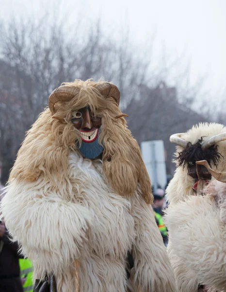 Mohacsi Busojaras carnival — Stockfoto