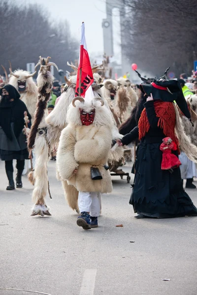 Mohacsi Busojaras carnival — Stockfoto