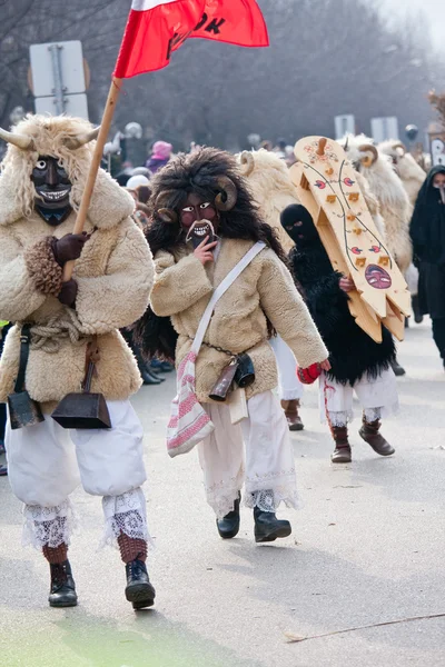 Carnaval de Mohacsi Busojaras — Photo