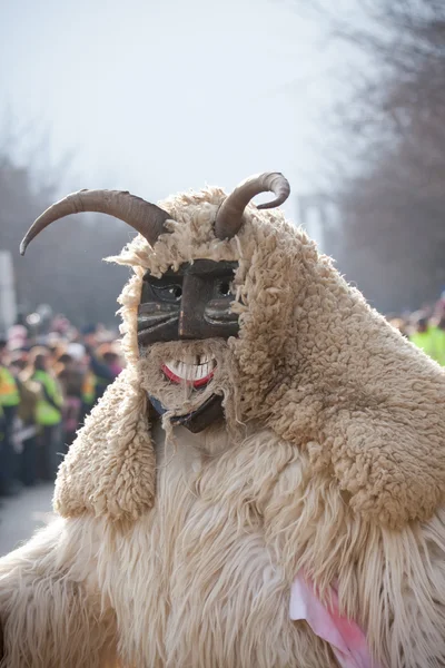 Mohacsi Busojaras carnival — Stock Photo, Image