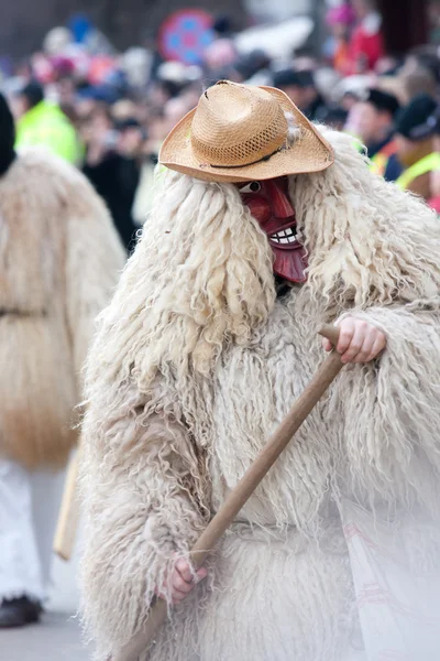 Mohacsi Busojaras carnival — Stockfoto