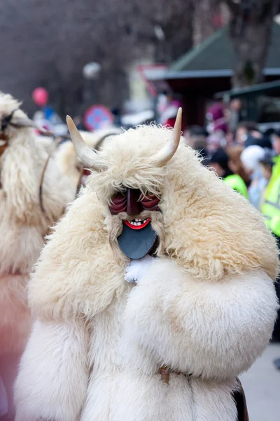 Mohacsi Busojaras carnival — Stockfoto