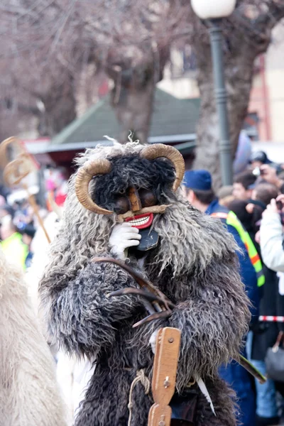 Mohacsi Busojaras carnival — Stock Photo, Image