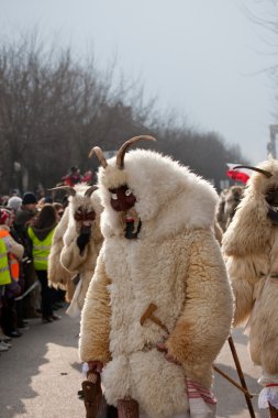 mohacsi busojaras karnavalı