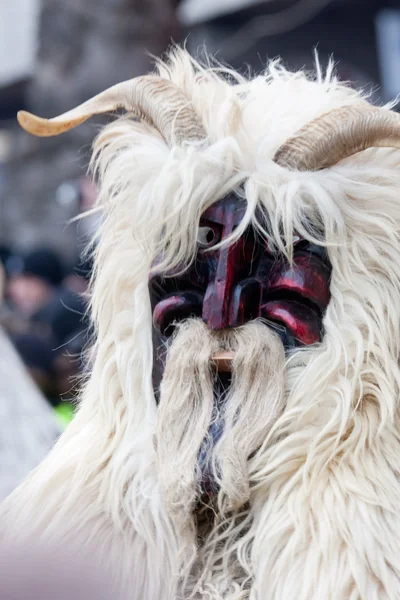 Mohacsi busojaras carnaval — Stockfoto