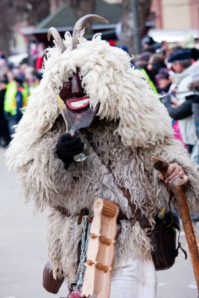 Carnaval de mohacsi busojaras — Fotografia de Stock