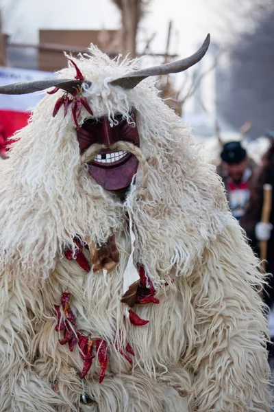 Mohacsi busojaras carnaval — Stockfoto