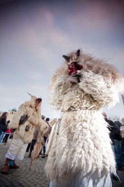mohacsi busojaras karnavalı