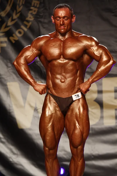 Bodybuilder — Photo