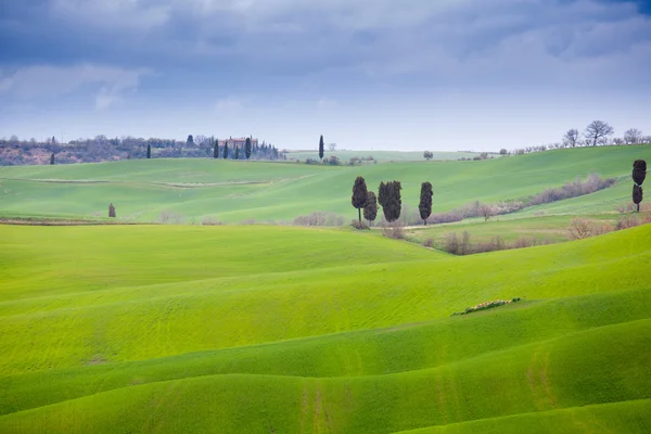 Toscana —  Fotos de Stock