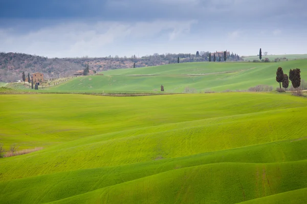 Toscana — Stockfoto