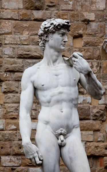 Die Statue von David — Stockfoto