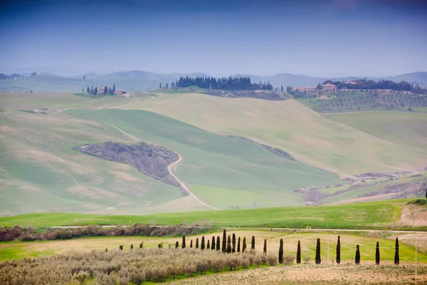 Paisaje típico toscano en Italia — Foto de Stock