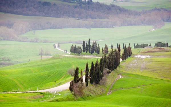 Toscana — Stockfoto