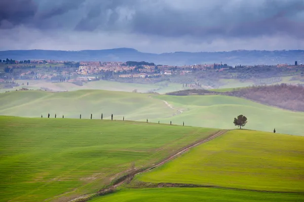 Toscane — Stockfoto