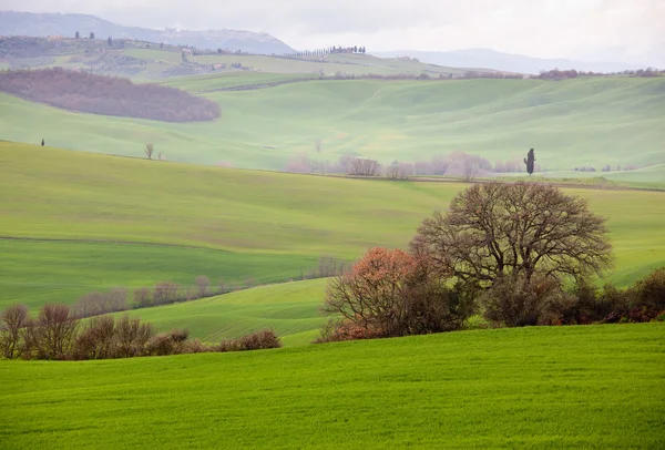 Toscana — Foto Stock