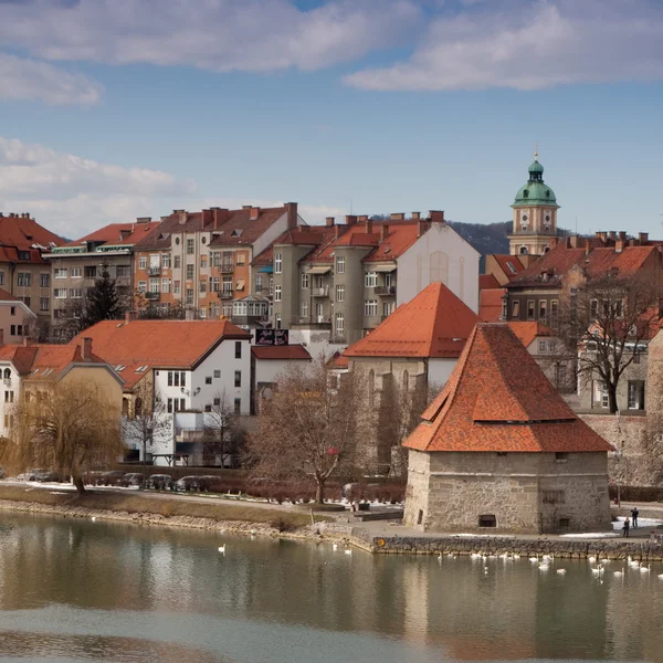 Maribor... — Fotografia de Stock