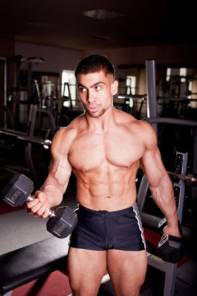 Bodybuilder training — Stock Photo, Image